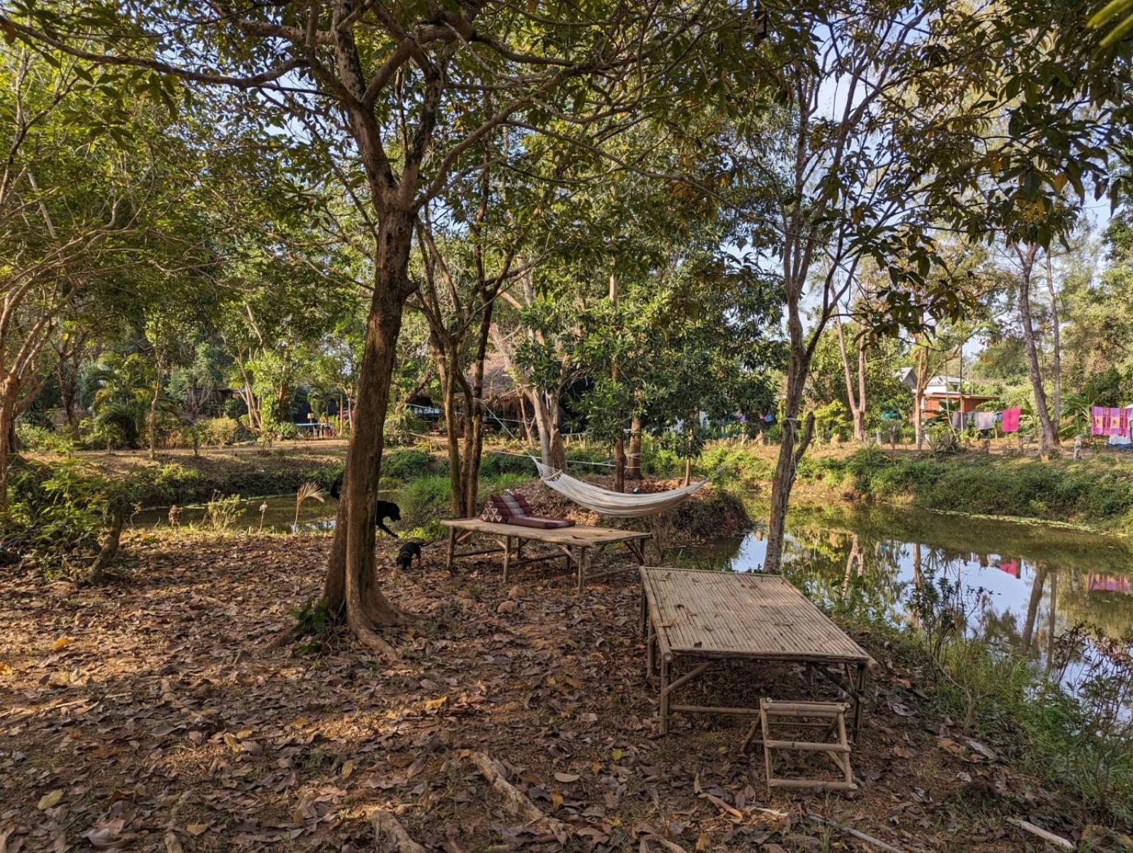 The River Retreat マーク島 エクステリア 写真