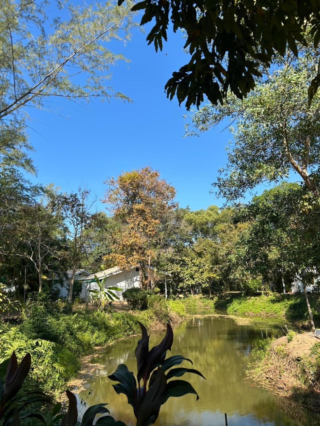 The River Retreat マーク島 エクステリア 写真
